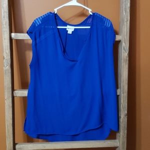 Blue blouse